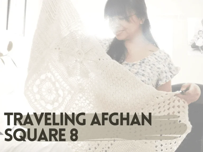 Traveling Crochet Afghan: Square 8
